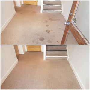 CARPET CLEANING PRODUCTS